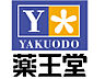 周辺：薬王堂福島大玉店