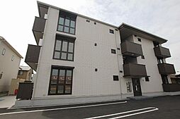 プリムローズ・D