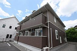 アイリー　グローブ