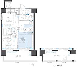 ZOOM本郷 13階/1302