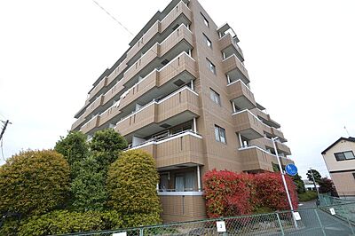 外観 外観