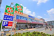ライフ 奥戸店（241m）