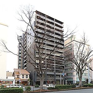 外観：外観