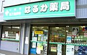 はるか薬局 大久手（413m）