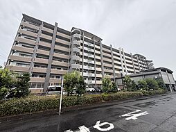 バンベール・ラフィネ道徳