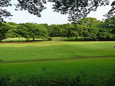 砧公園