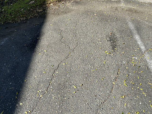 18 / 29