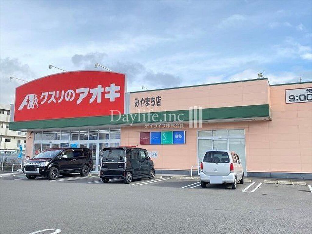 Image 12