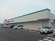 その他「スギ薬局まで530m」