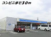 その他「ローソンまで30m」