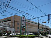 その他「ヨシヅヤ太平通り店まで458m」