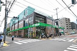 サミット　千鳥町店 1253m