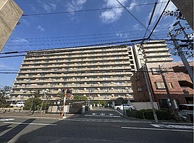 外観:南海高野線百舌鳥八幡駅まで徒歩10分♪高層階の南東角部屋です♪ 外観:南海高野線百舌鳥八幡駅まで徒歩10分♪高層階の南東角部屋です♪