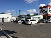ファミリーマート岡山田中店 529m
