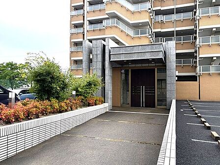 室内(2026年6月)撮影