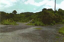 オリーブ園の土地画像