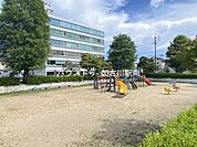 小柳公園 250m