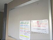 掲示板
