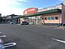 周辺：ドラッグストア 267m クスリのアオキ三条北店