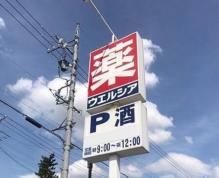 ウェルシア 350m