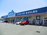ウエルシア 1400m