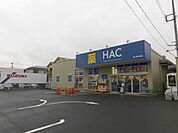 ハックドラッグ 茅ヶ崎今宿店（1560m）
