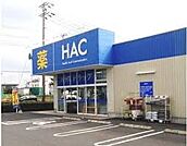 ハックドラッグ 藤沢遠藤店（541m）
