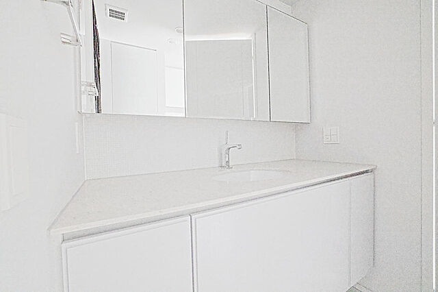 洗面 三田ガーデンヒルズ 8階/E805