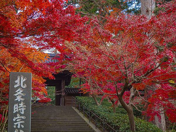 その他を拡大表示