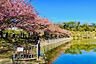 その他：小松ヶ池公園まで車で14分　約6.1km