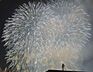 その他：バルコニーから見た花火の様子
