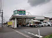 業務スーパー 本庄早稲田店 徒歩8分。 570m