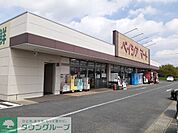 ベイシア前橋小島田店 徒歩24分。 1920m