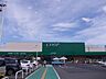 周辺：COOP　MIYAGI愛子店 徒歩10分。 730m