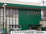 COOP　MIYAGI八木山店 徒歩24分。 1910m