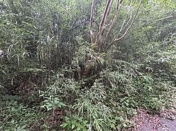 刈田郡蔵王町遠刈田温泉字新地東裏山 土地