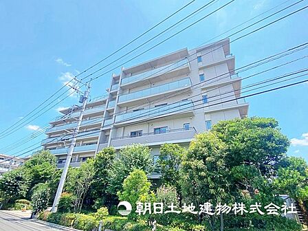 2026年7月10日に撮影したお写真です。