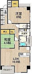 シャーメゾン白鷺 2LDKの間取図画像