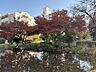 周辺：さくら公園 670m