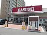周辺：その他「カスミまで1000m」