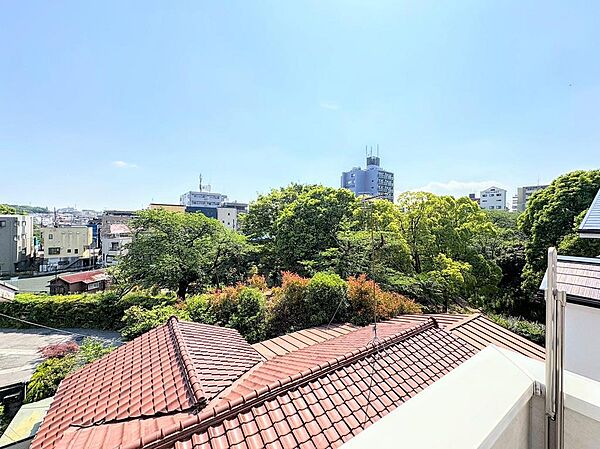 周辺を拡大表示