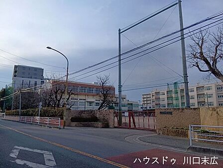 川口市立青木北小学校落ち着いた雰囲気の中で、お子様がのびのびと学べる教育環境が整っています。地域の目が行き届く治安の良さも魅力で、子育て世代の毎日の生活に確かな安心感をもたらしてくれます。 290m