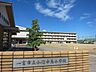 周辺：小信中島小学校 38m