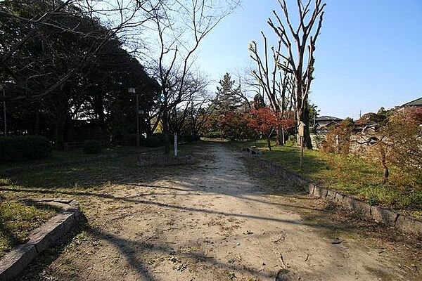 周辺を拡大表示