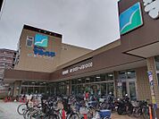 スーパーマルハチ 新大阪店（250m）