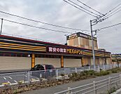 MEGAドン・キホーテ秦野店（925m）