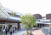Terrace Mall（テラス モール）湘南（866m）