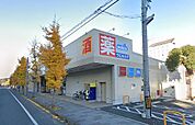 ウエルシア平塚八重咲町店（340m）