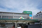maruetsu（マルエツ） さがみ野店（194m）