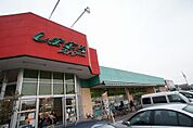 しまむらストアー田村店（1067m）